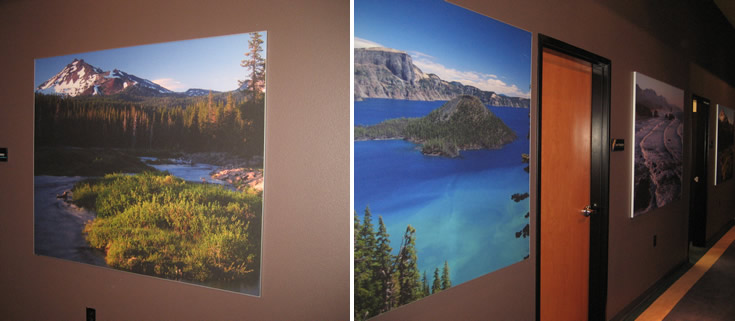 Silicone Edge Graphics (SEG) Wall Murals 